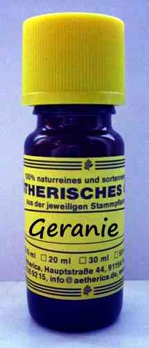 Rosen - Geranie (Pelargonium graveolens)