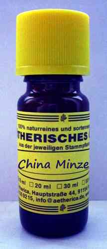 China Minze (Mentha arvensis)