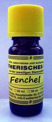 Fenchel*(Foeniculum vulgare)