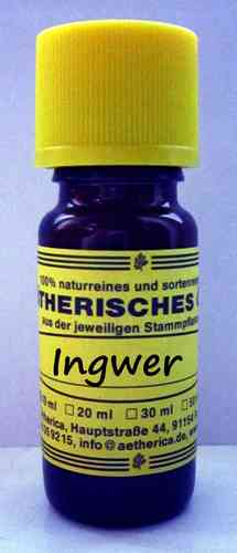 Ingwer (Zingiber officinale)