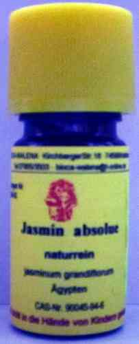 Jasmin (Jasminum grandiflorum)