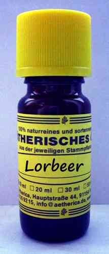 Lorbeer (Laurus nobilis)