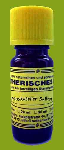 Muskateller Salbei (Salvia sclarea)